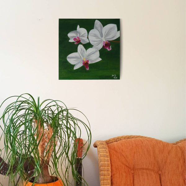 Bílé orchideje
