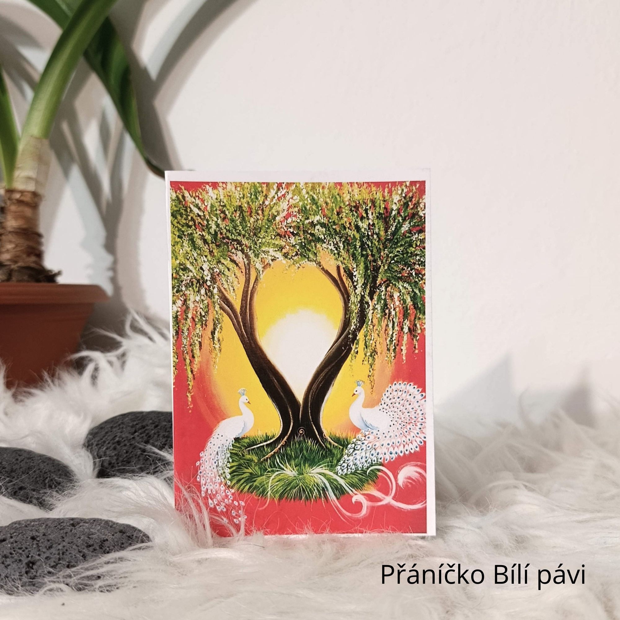 Umělecká přáníčka - Image 3