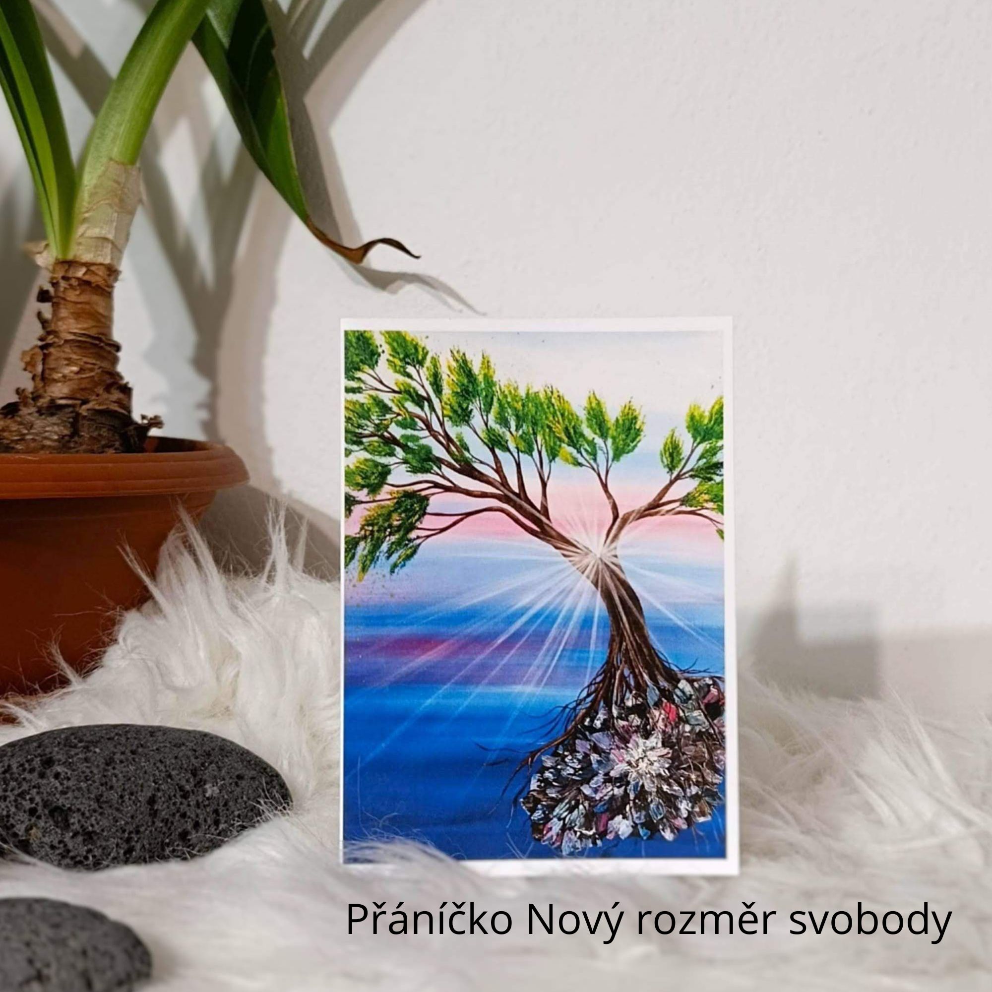 Umělecká přáníčka - Image 9