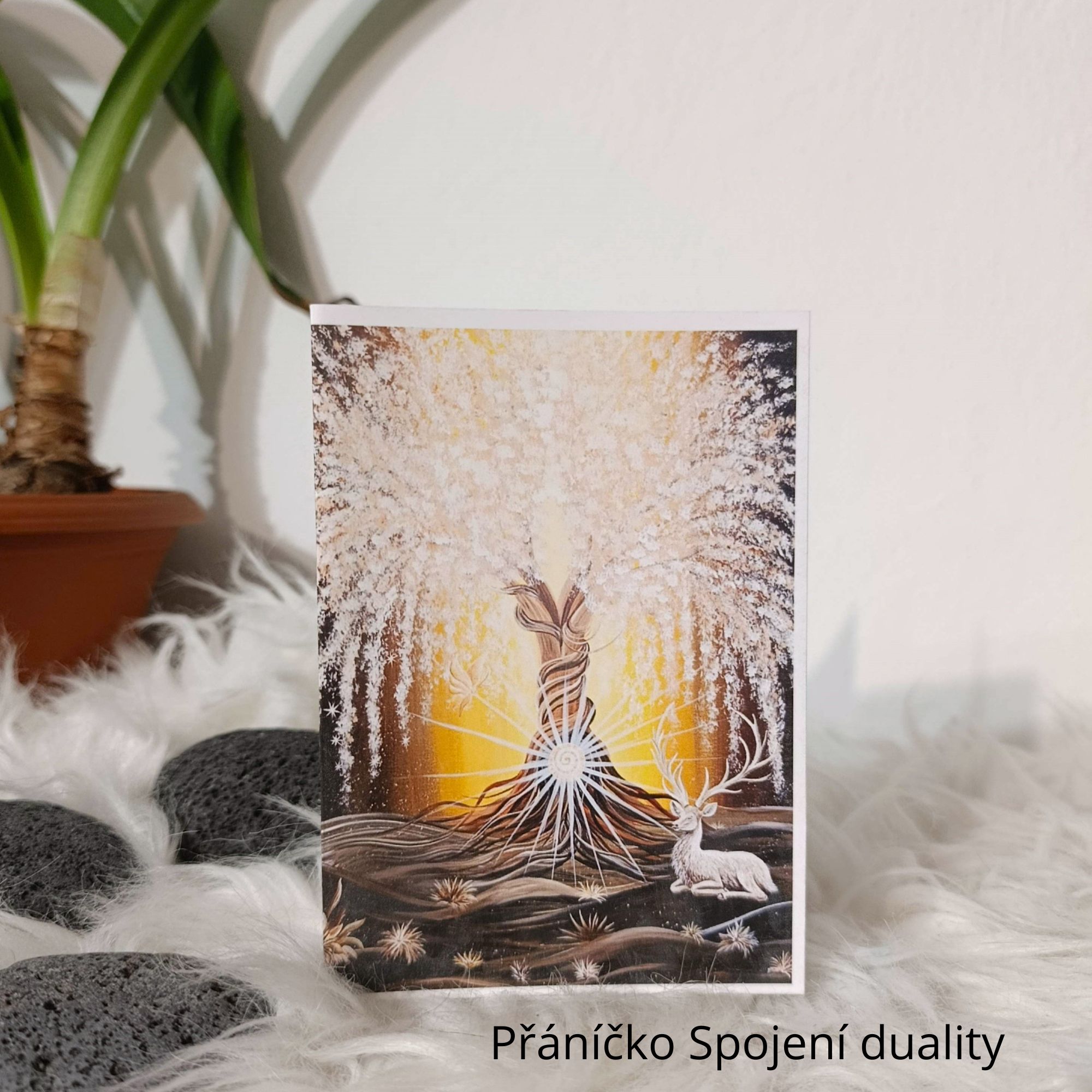 Umělecká přáníčka - Image 11